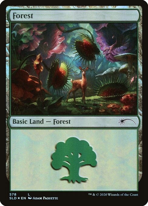 Forest SLD #578