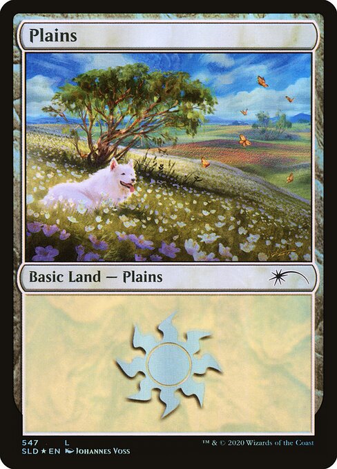 Plains SLD #547